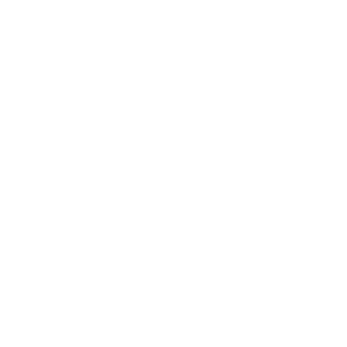 Tiktok_for_Business_Logo