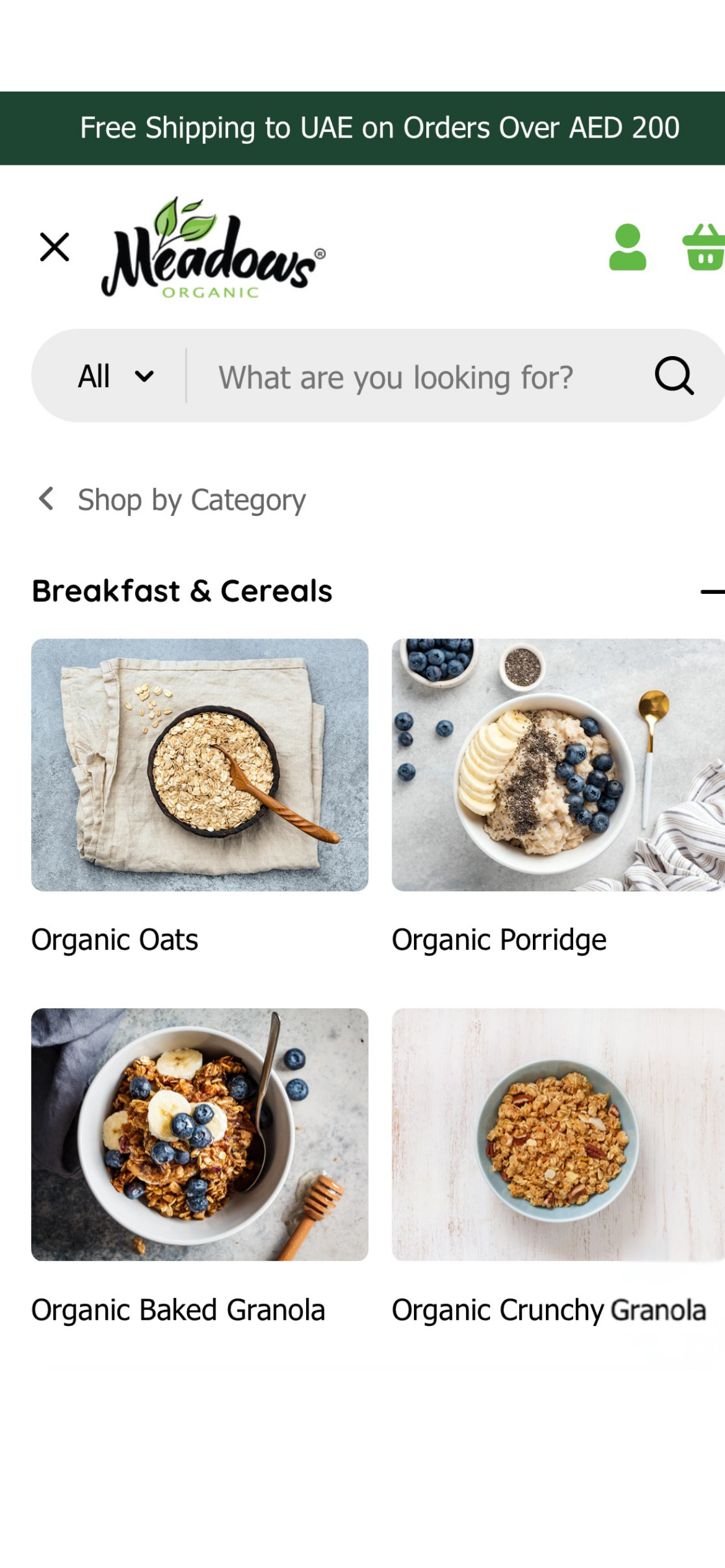 Mega Navigation Menu