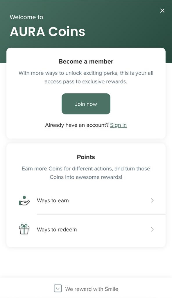 Aura Skypool Boutique Loyalty program on the Shopify store