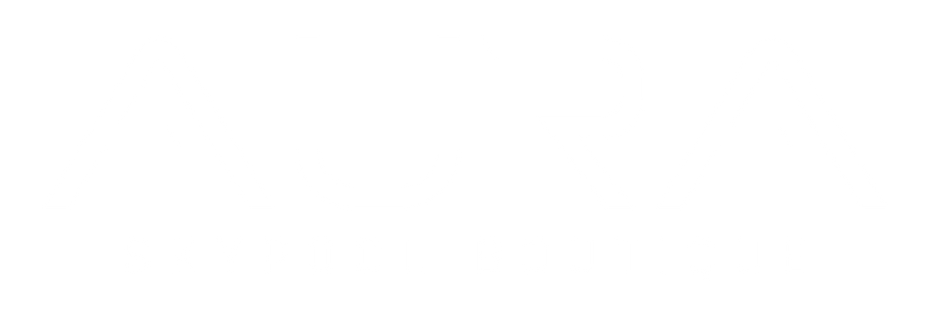 Aura Skypool Boutique logo